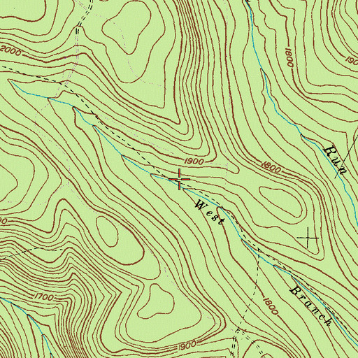 Topographic Map of West Branch Lick Run Trail, PA