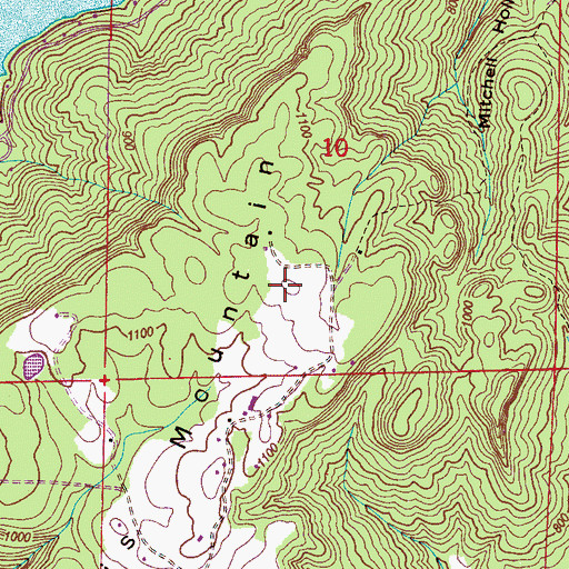 Topographic Map of Lewis Mountain, AL