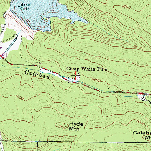 Topographic Map of Camp White Pine, SC