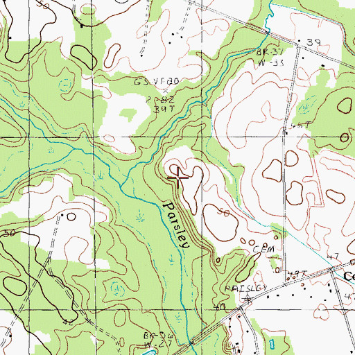 Topographic Map of McKnight Swamp, SC