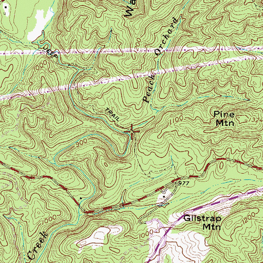 Topographic Map of Peach Orchard Branch, SC
