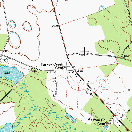 Topographic Map of Turkey Creek Cemetery, SC