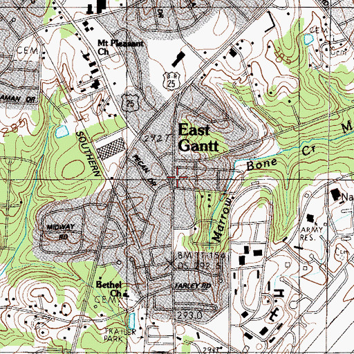Topographic Map of East Gantt, SC