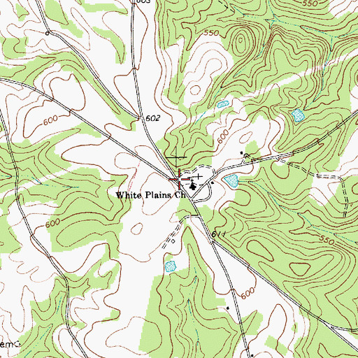 Topographic Map of White Plains, SC