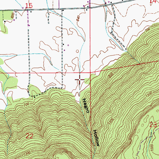 Topographic Map of Negro Hollow, AL
