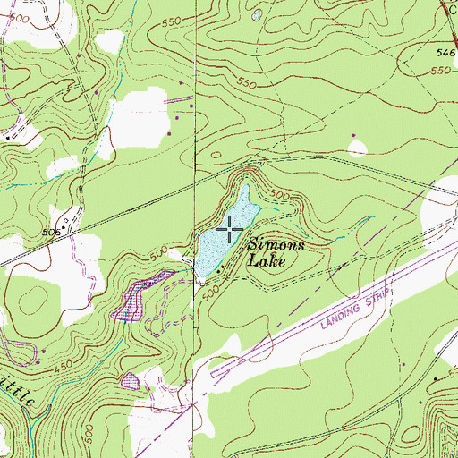 Topographic Map of Simons Lake, SC