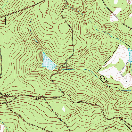 Topographic Map of Lee Pond Dam D-3209, SC
