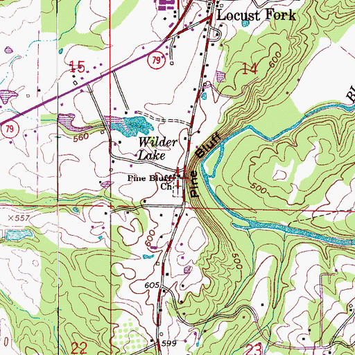 Topographic Map of Pine Bluff Church, AL