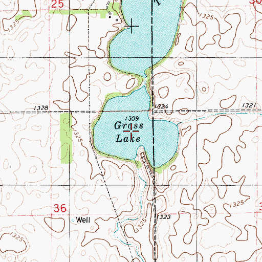Topographic Map of Grass Lake, SD