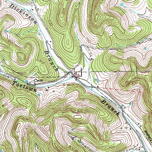 Topographic Map of Dickinson Branch, TN