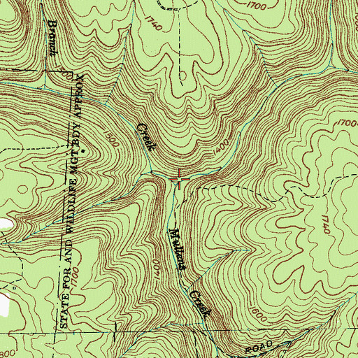 Topographic Map of Shelton Creek, TN