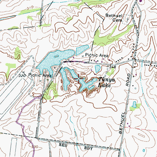 Topographic Map of Tanya Lake, TN