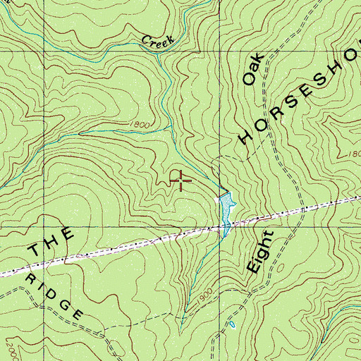 Topographic Map of The Horseshoe, TN