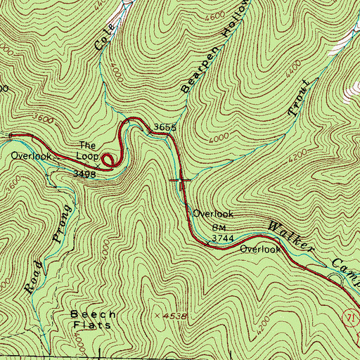 Topographic Map of Trout Branch, TN