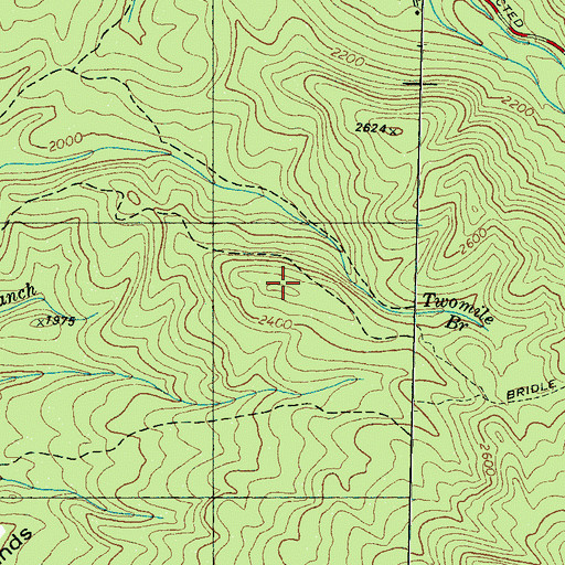 Topographic Map of Twomile Lead, TN