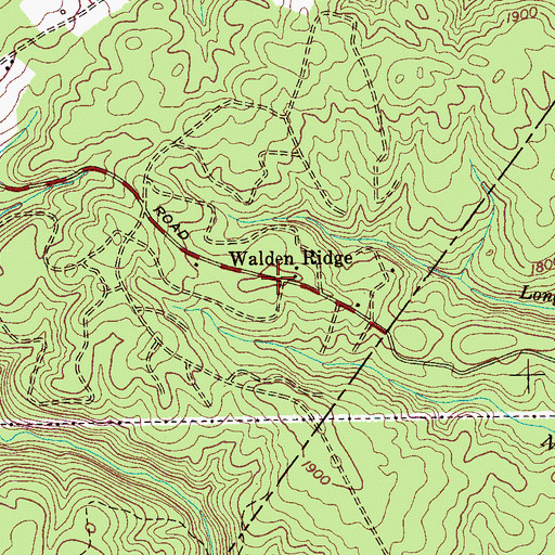 Topographic Map of Walden Ridge, TN