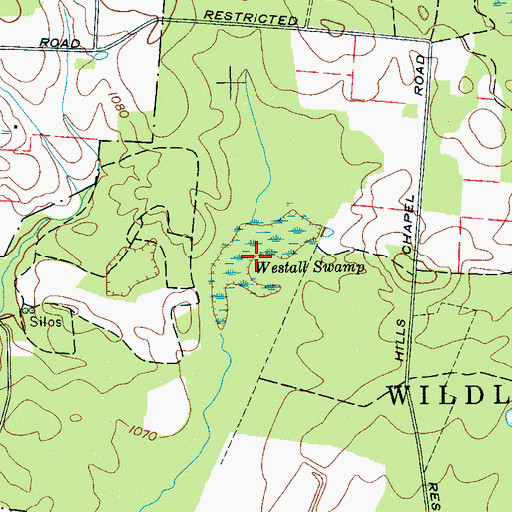 Topographic Map of Westall Swamp, TN