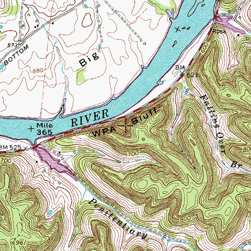 Topographic Map of Wpa Bluff, TN