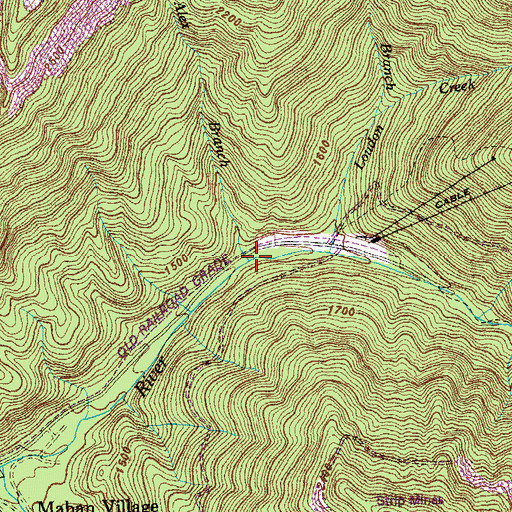 Topographic Map of Alex Branch, TN