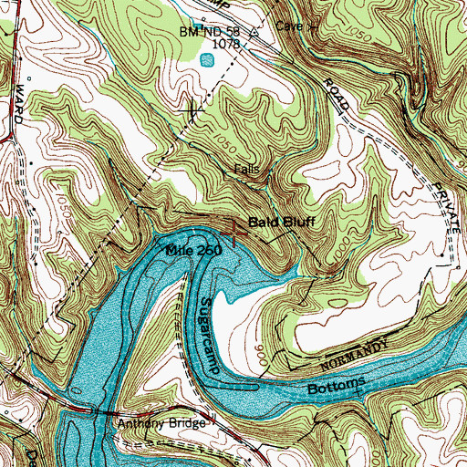 Topographic Map of Bald Bluff, TN