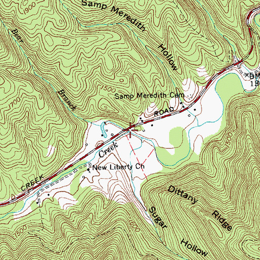 Topographic Map of Bear Branch, TN