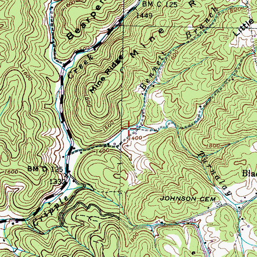 Topographic Map of Bennett Branch, TN