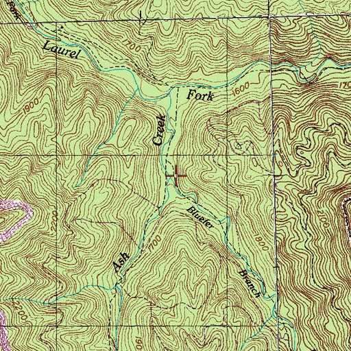 Topographic Map of Bluefer Branch, TN