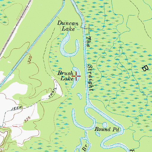 Topographic Map of Brush Lake, TN