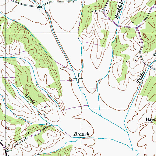 Topographic Map of Carrington Branch, TN