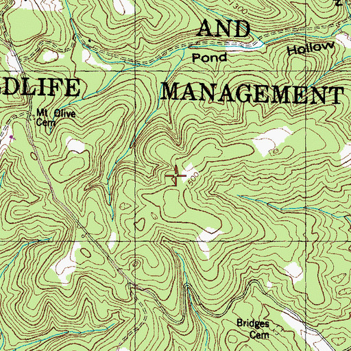 Topographic Map of Central Peninsula, TN