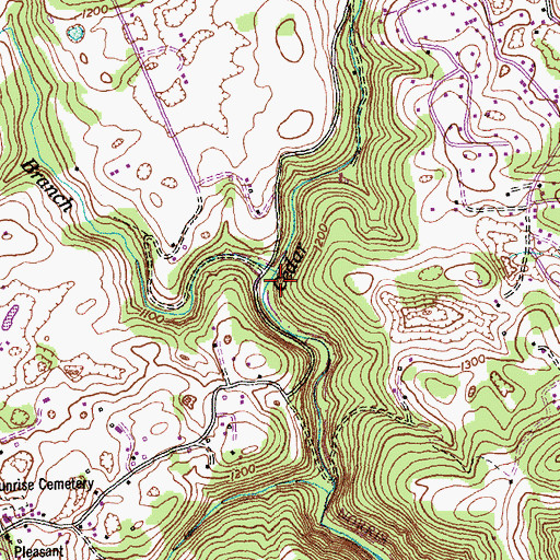 Topographic Map of Chambers Branch, TN