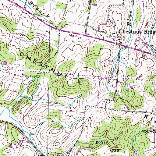 Topographic Map of Chestnut Ridge, TN