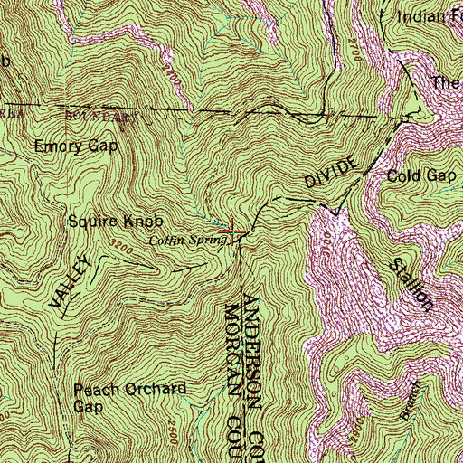 Topographic Map of Coffin Spring, TN