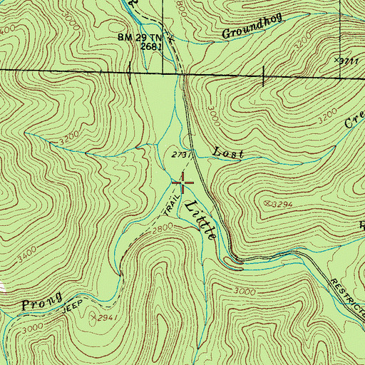 Topographic Map of Fish Camp Prong, TN