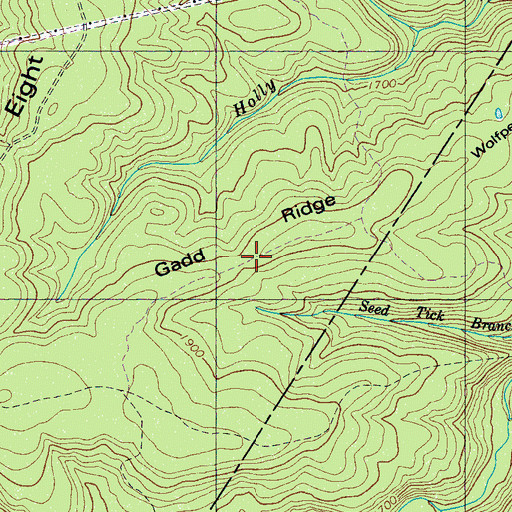 Topographic Map of Gadd Ridge, TN