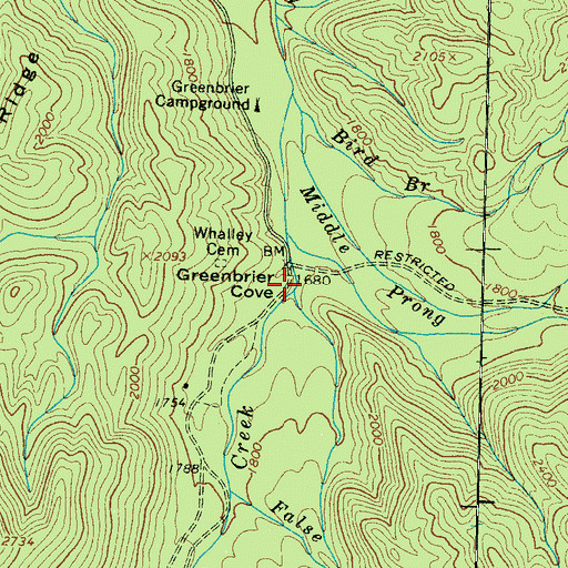 Topographic Map of Greenbrier Cove, TN