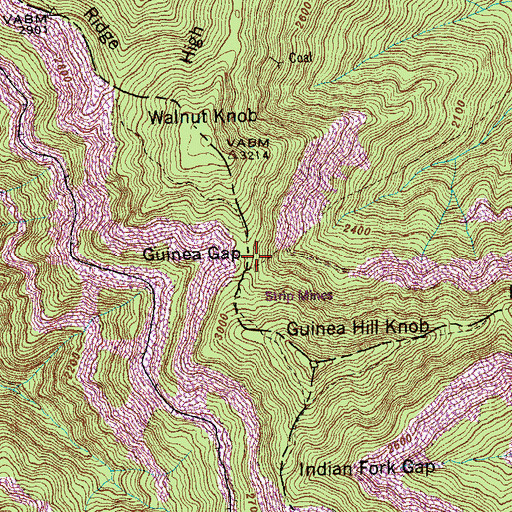 Topographic Map of Guinea Gap, TN