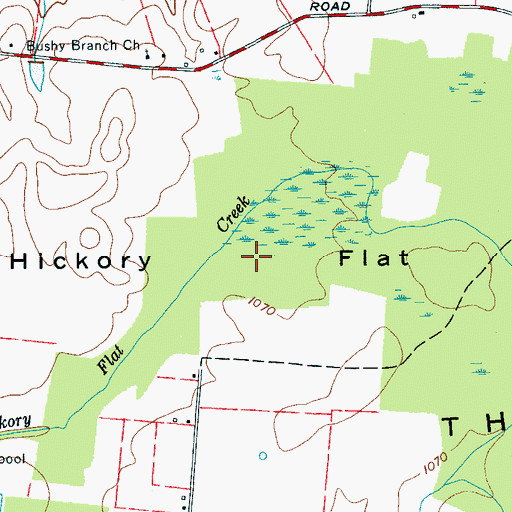 Topographic Map of Hickory Flat, TN
