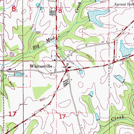 Topographic Map of Whitesville, AL