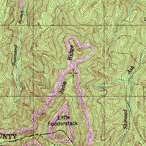 Topographic Map of Jane Ridge, TN