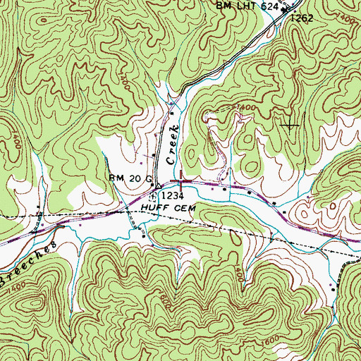 Topographic Map of Large Branch, TN