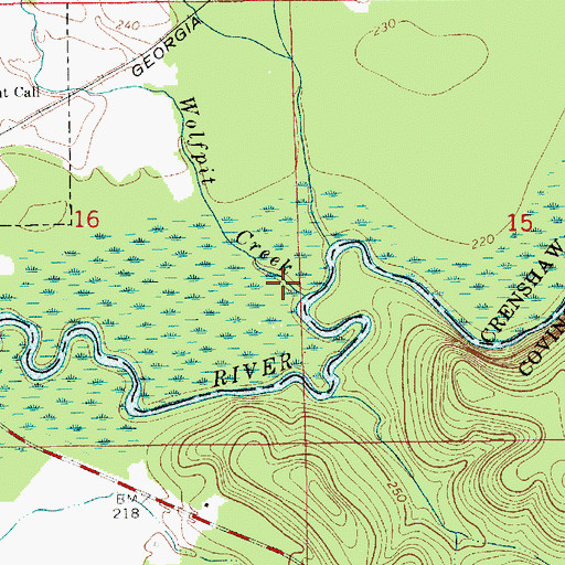 Topographic Map of Wolfpit Creek, AL