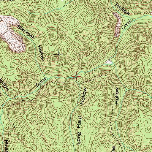Topographic Map of Long Haul Hollow, TN
