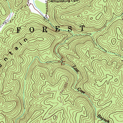 Topographic Map of Lost Cove Branch, TN