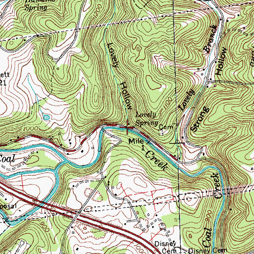 Topographic Map of Lovely Hollow, TN