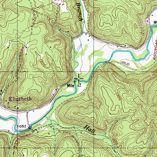 Topographic Map of Maden Branch, TN
