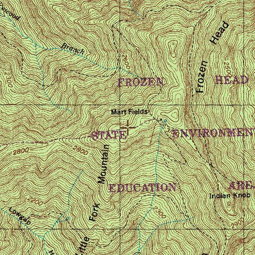 Topographic Map of Mart Fields, TN