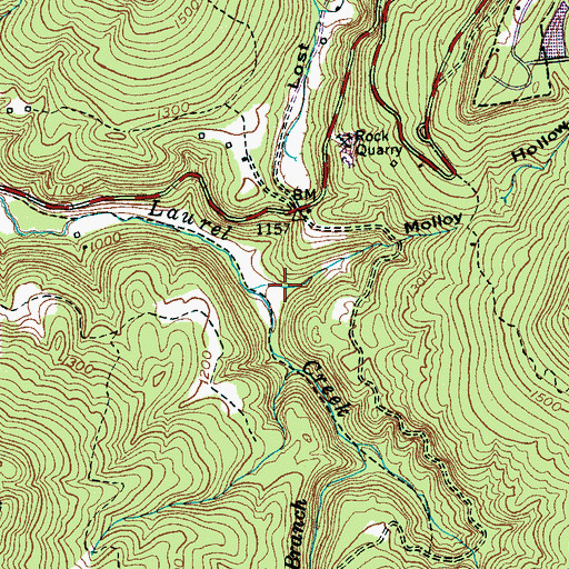 Topographic Map of Molloy Hollow, TN