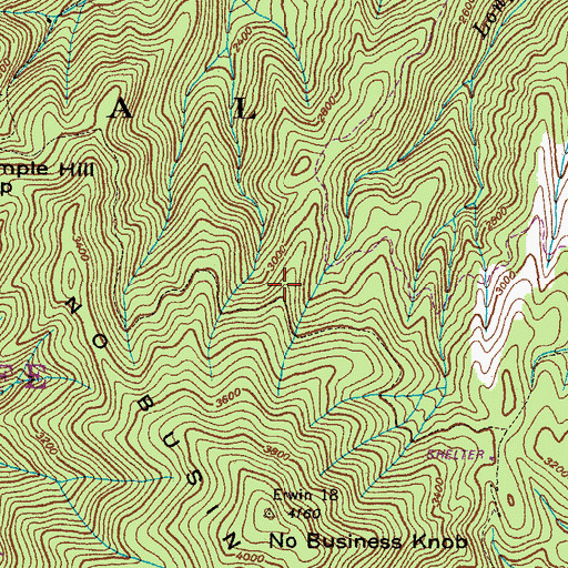 Topographic Map of No Business Trail, TN