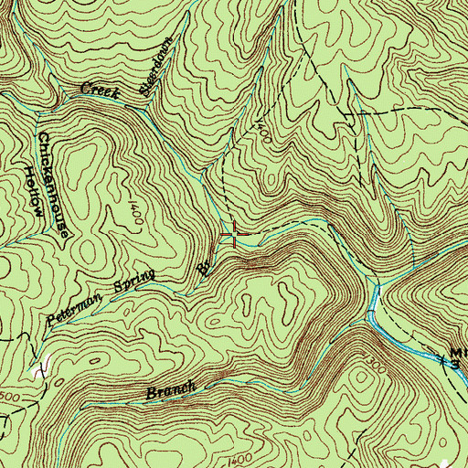 Topographic Map of Peterman Spring Branch, TN